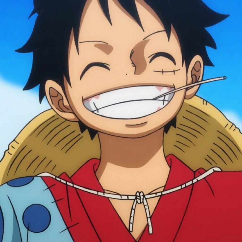 Luffy Matching PFP