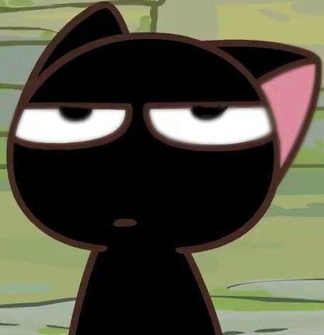 Black Cat PFP