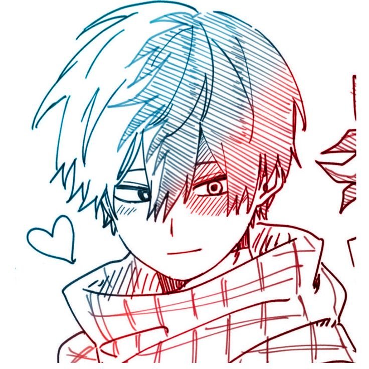 Cute Shoto Todoroki PFP