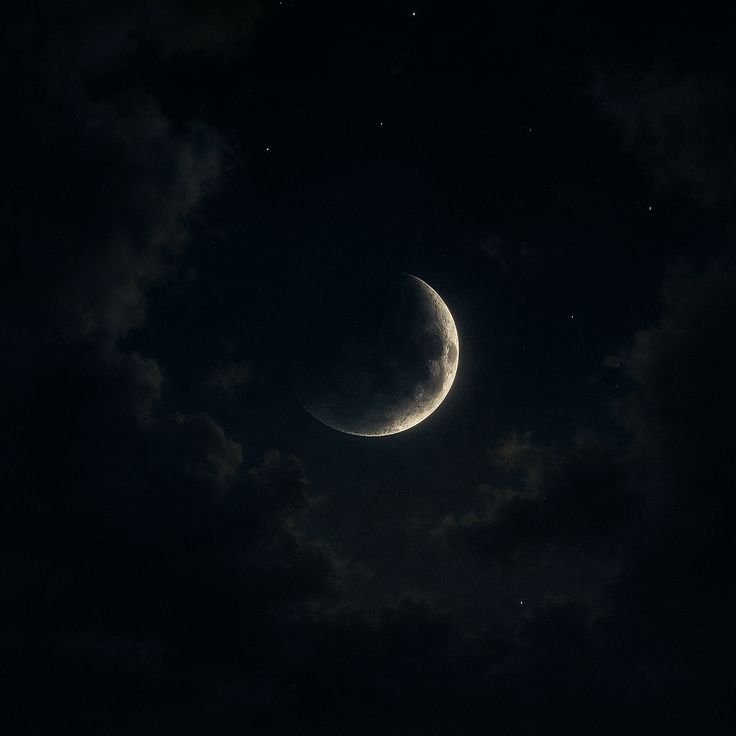 Dark and Gothic Moon PFP
