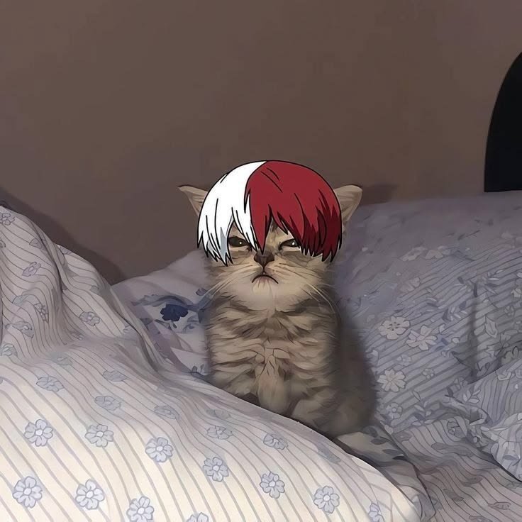 Funny Shoto Todoroki PFP