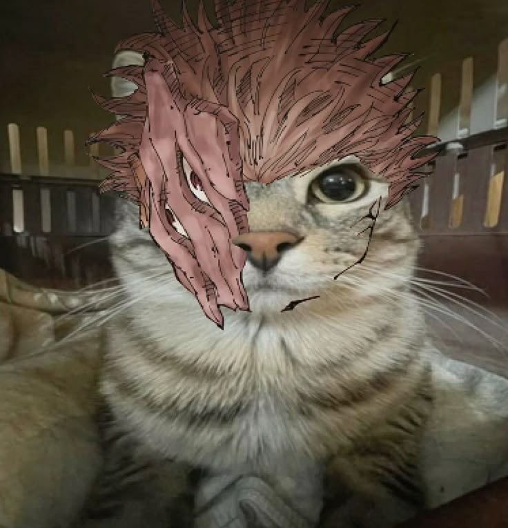 Funny Sukuna PFP