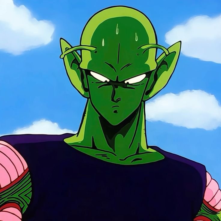 HD Piccolo PFP