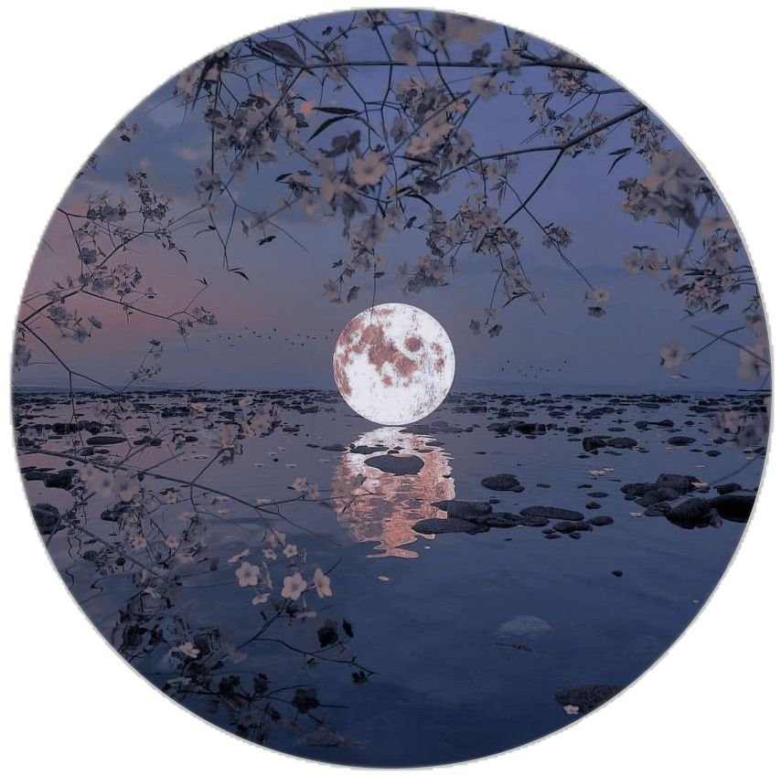 Minimalist Moon PFP