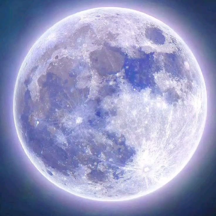 Moon PFP
