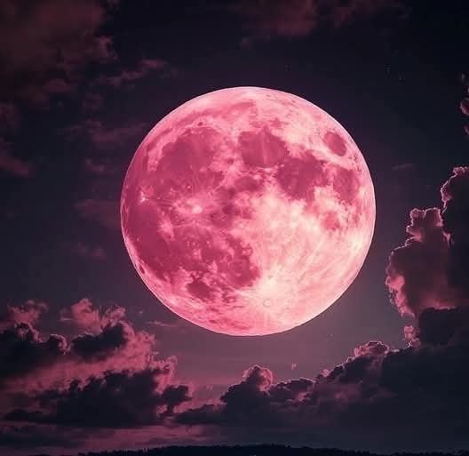 Moon Phase PFP