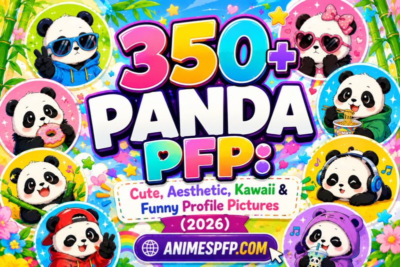 350+ Panda PFP: Cute, Aesthetic, Kawaii & Funny Profile Pictures (2026)