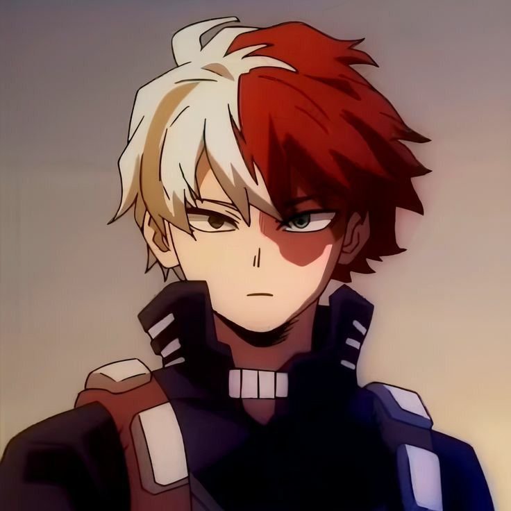 Shoto Todoroki Anime PFP