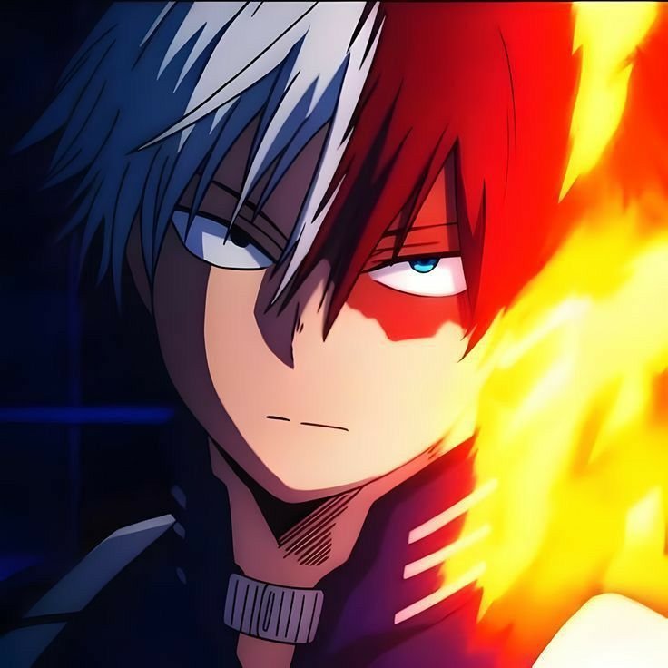 Shoto Todoroki Anime PFP