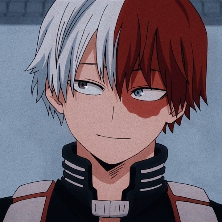 Shoto Todoroki Anime PFP