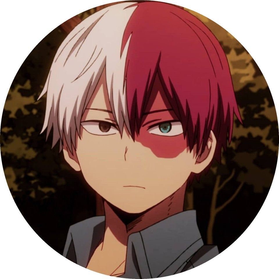 Shoto Todoroki Character PFP