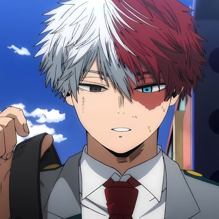 Shoto Todoroki Character PFP