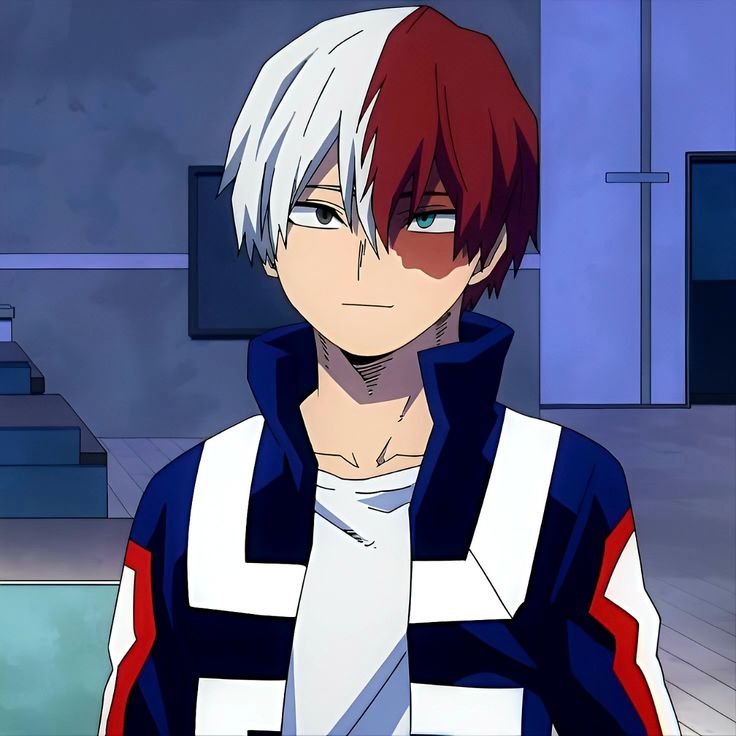 Shoto Todoroki Character PFP