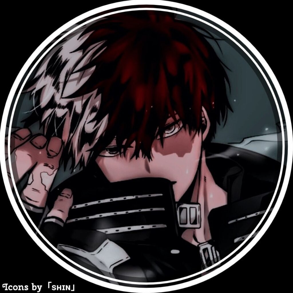 Shoto Todoroki Character PFP