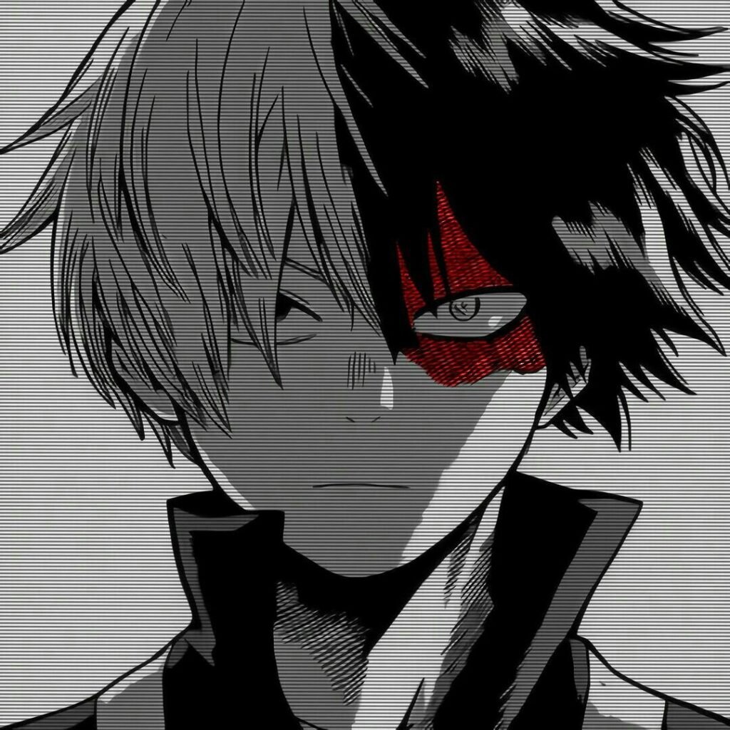 Shoto Todoroki Dark and Edgy PFP