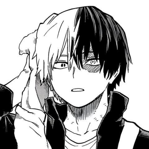 Shoto Todoroki Manga PFP
