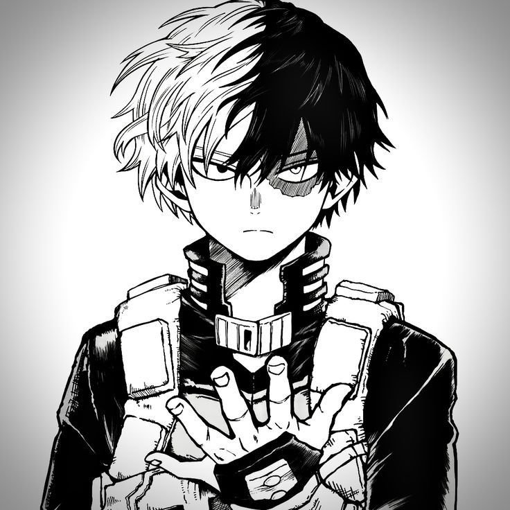 Shoto Todoroki Manga PFP