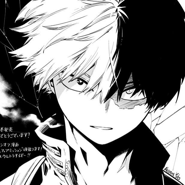Shoto Todoroki Manga PFP