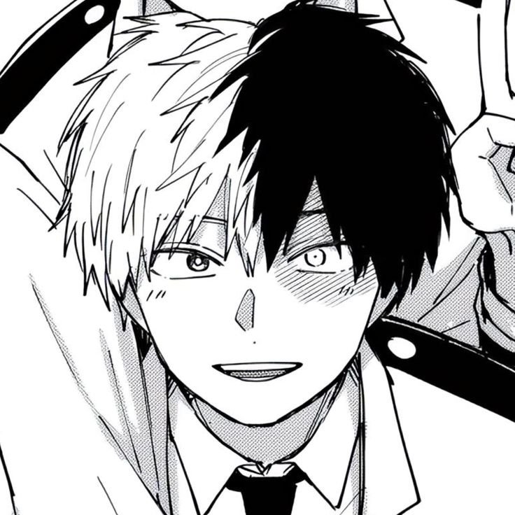 Shoto Todoroki Manga PFP