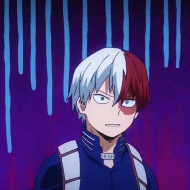 Shoto Todoroki Meme and Reaction PFP