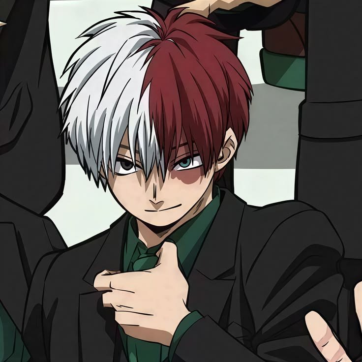 Shoto Todoroki PFP