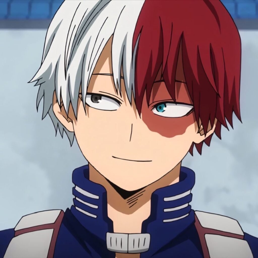 Shoto Todoroki PFP