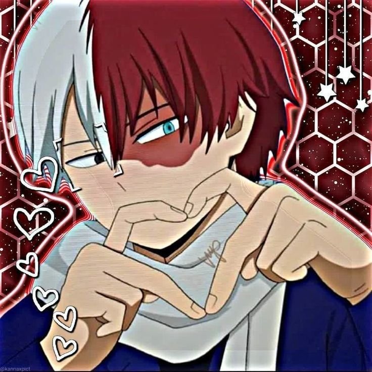 Shoto Todoroki PFP