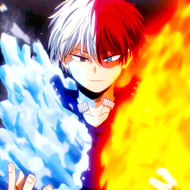 Shoto Todoroki PFP