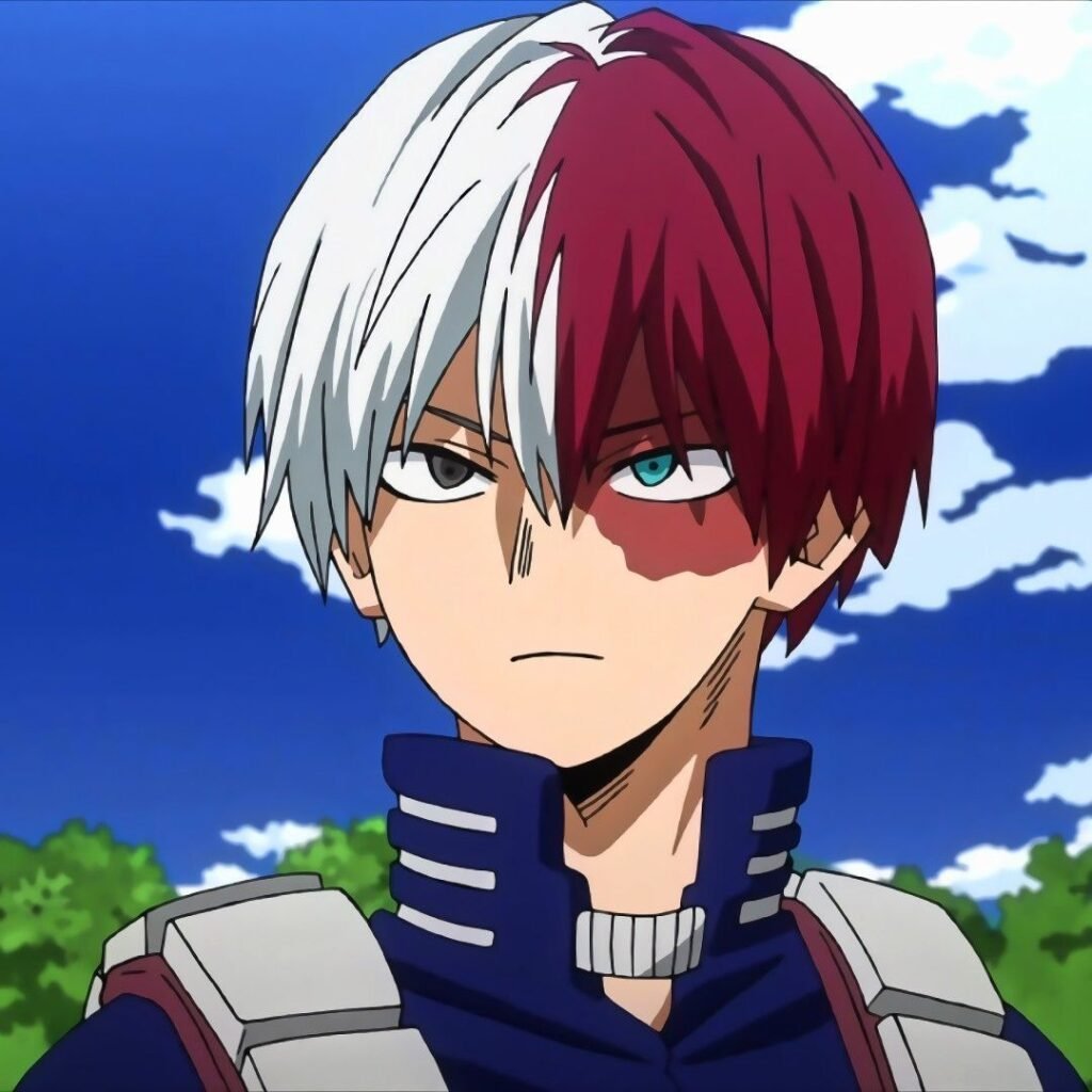 Shoto Todoroki PFP