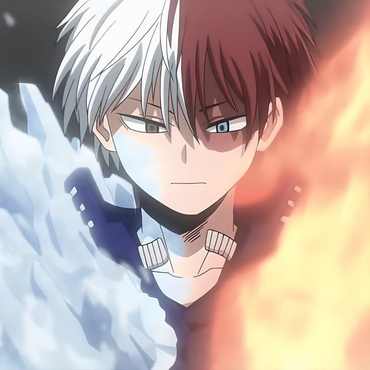 Cool Shoto Todoroki PFP