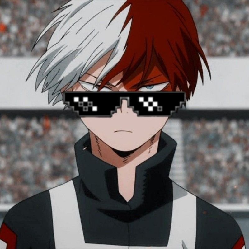 Cool Shoto Todoroki PFP