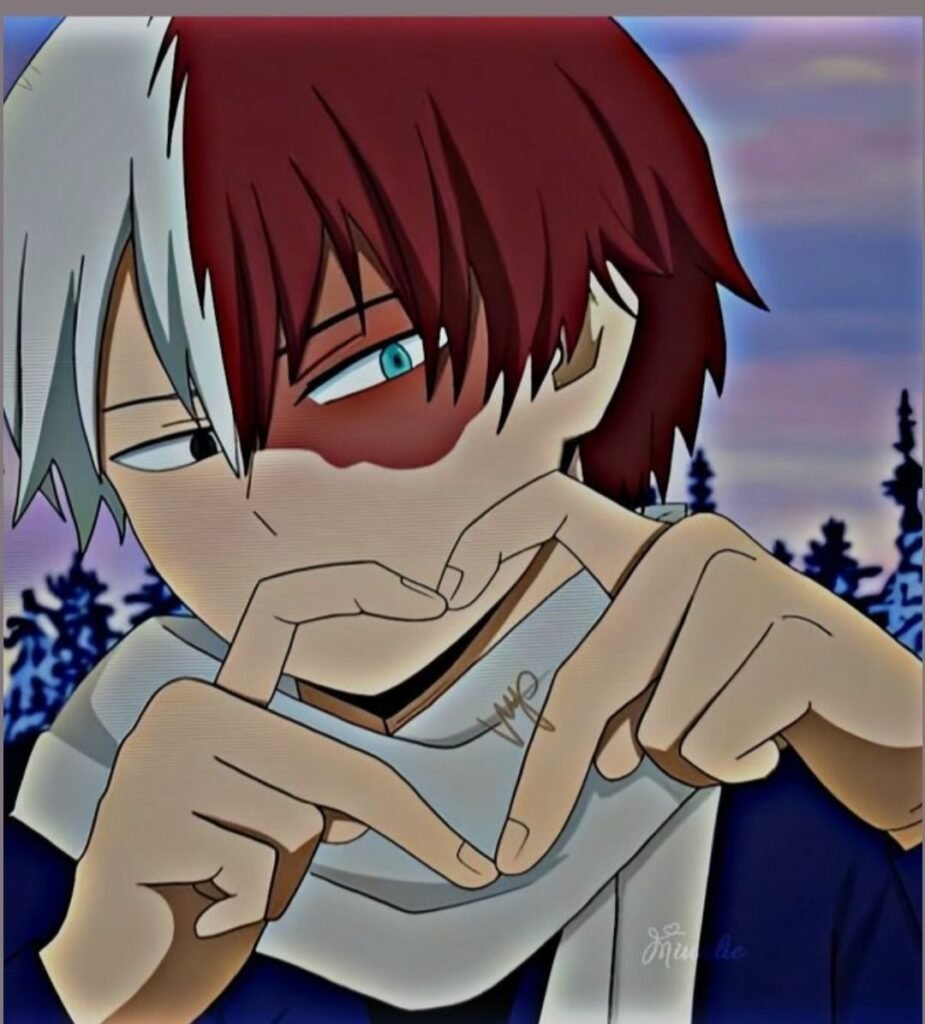 Cool Shoto Todoroki PFP