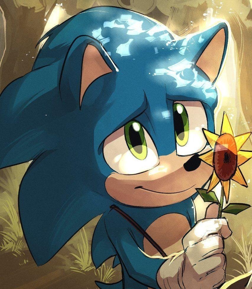 Sonic Fan Art PFP