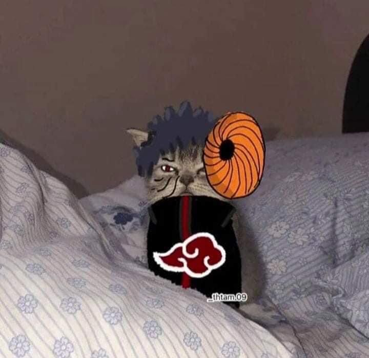 Obito Meme PFP