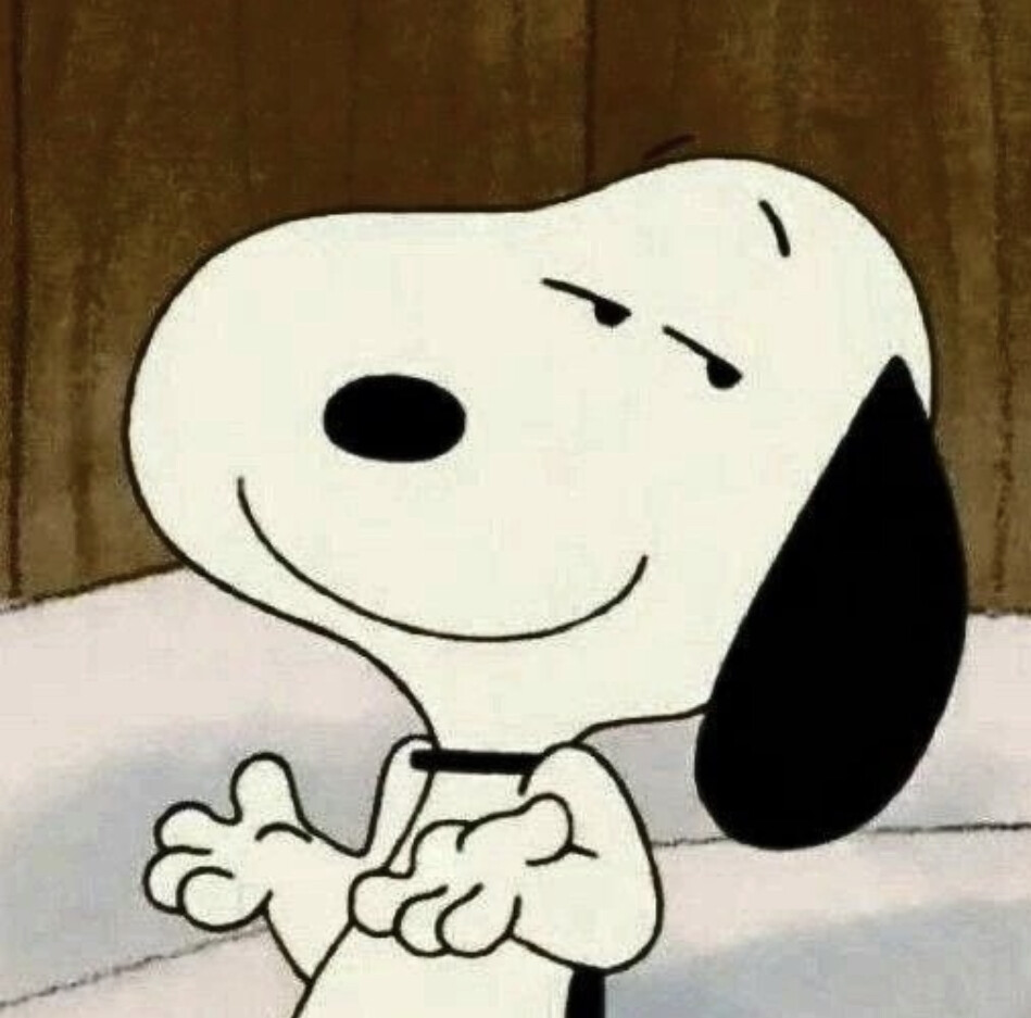 Snoopy PFP