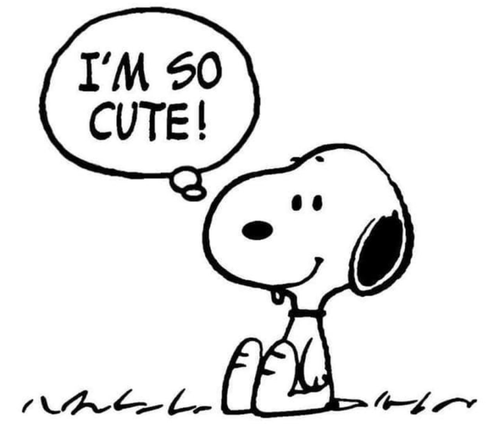 Cute Snoopy PFP