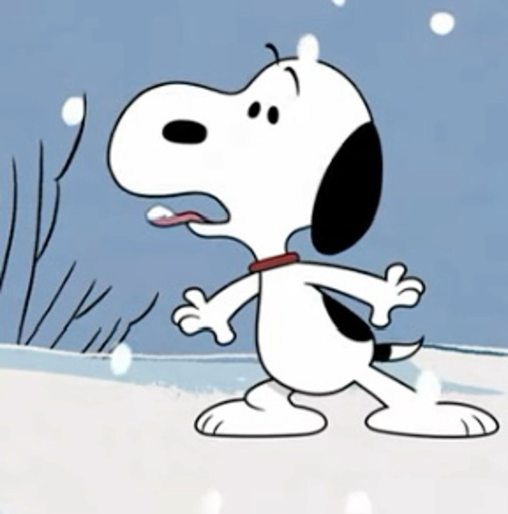 Snoopy PFP