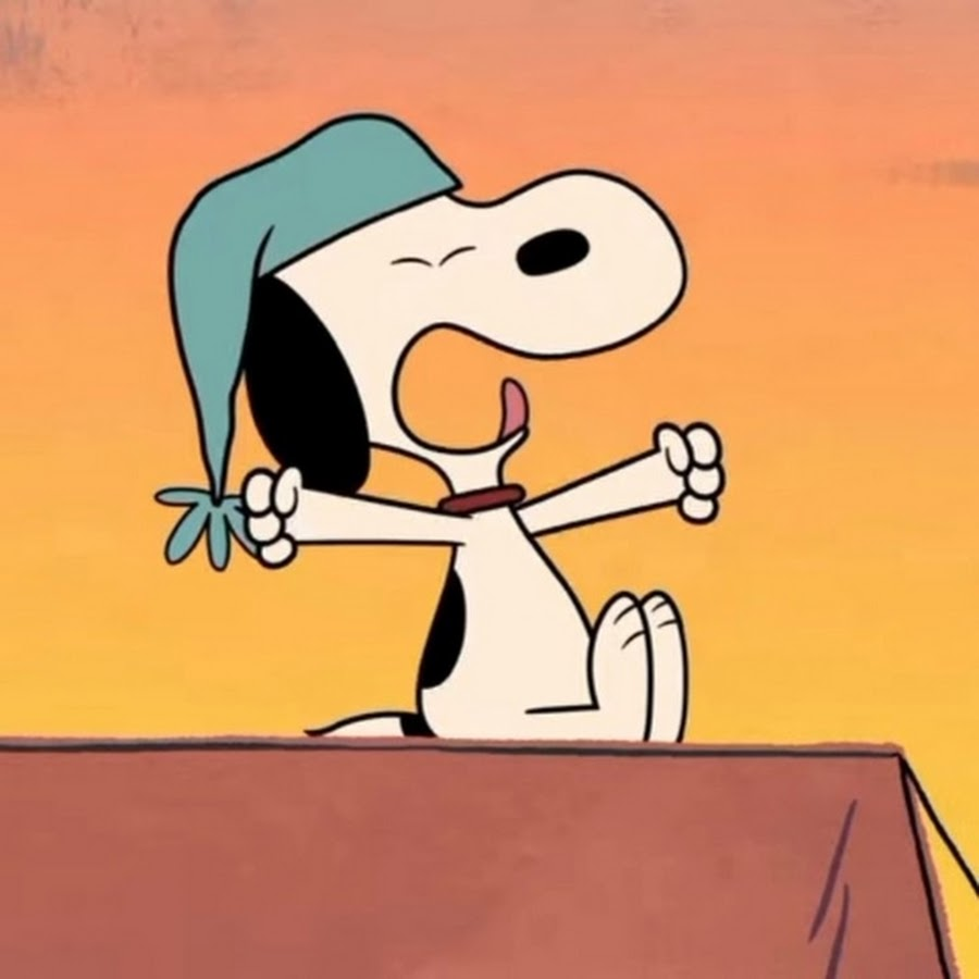 Funny Snoopy PFP