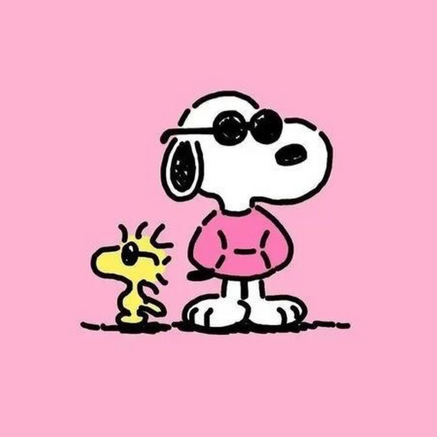 Aesthetic Snoopy PFP