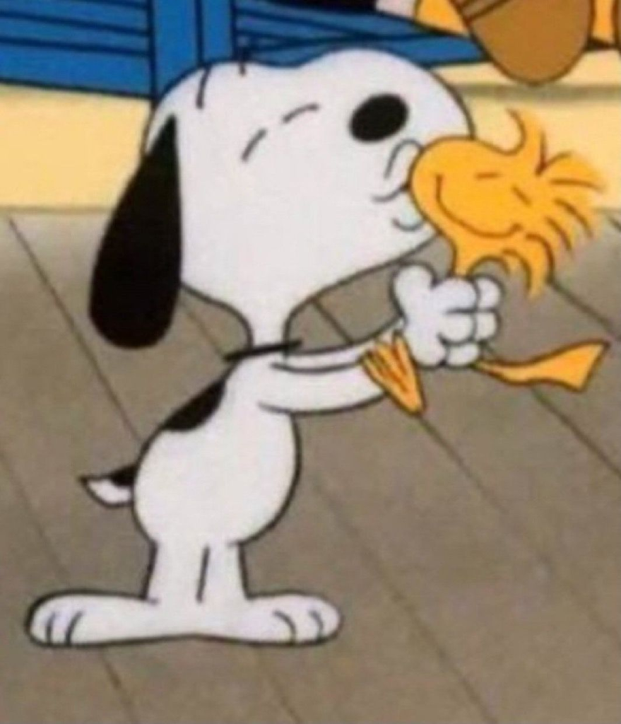 Funny Snoopy PFP