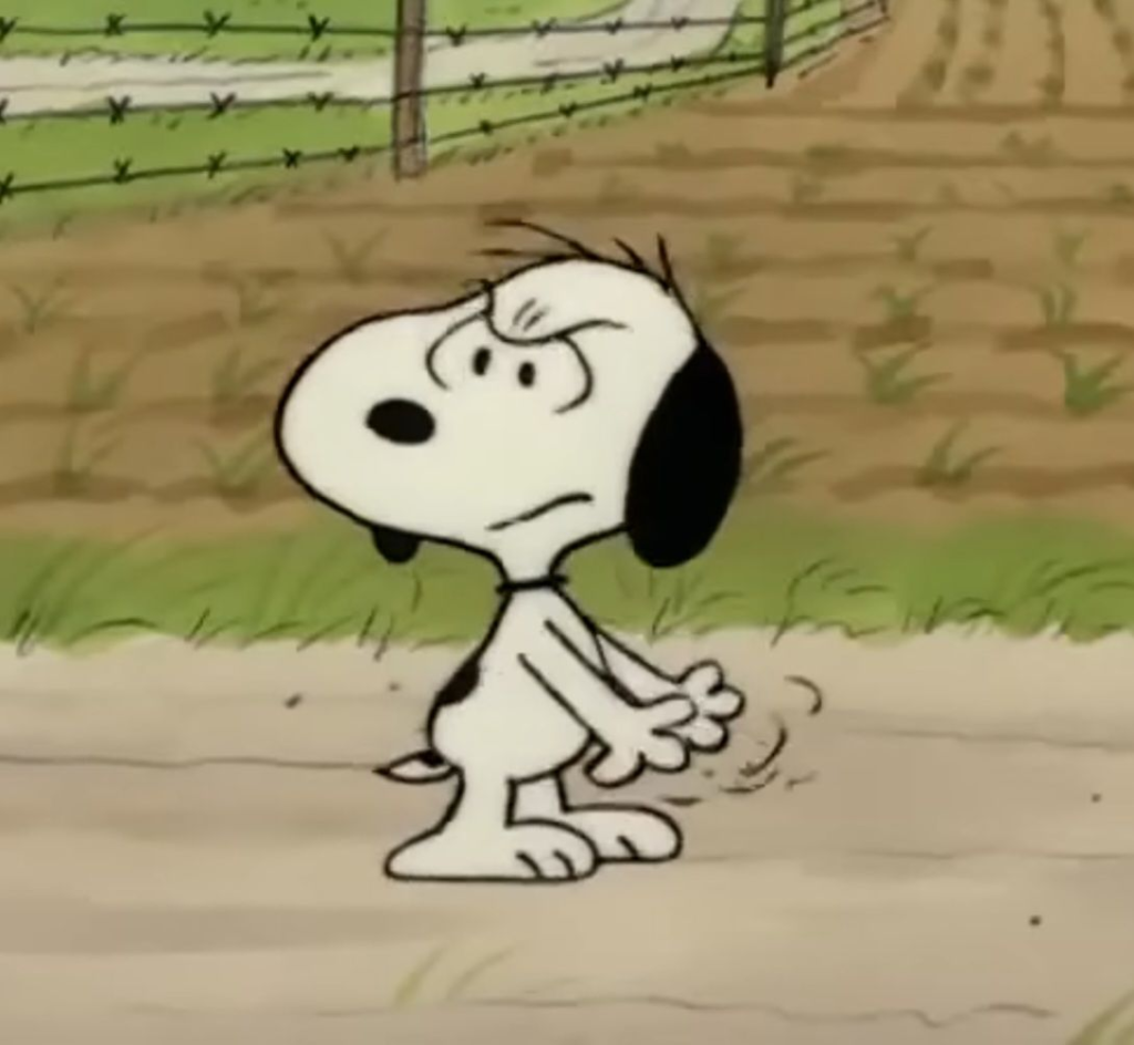 Cool Snoopy PFP