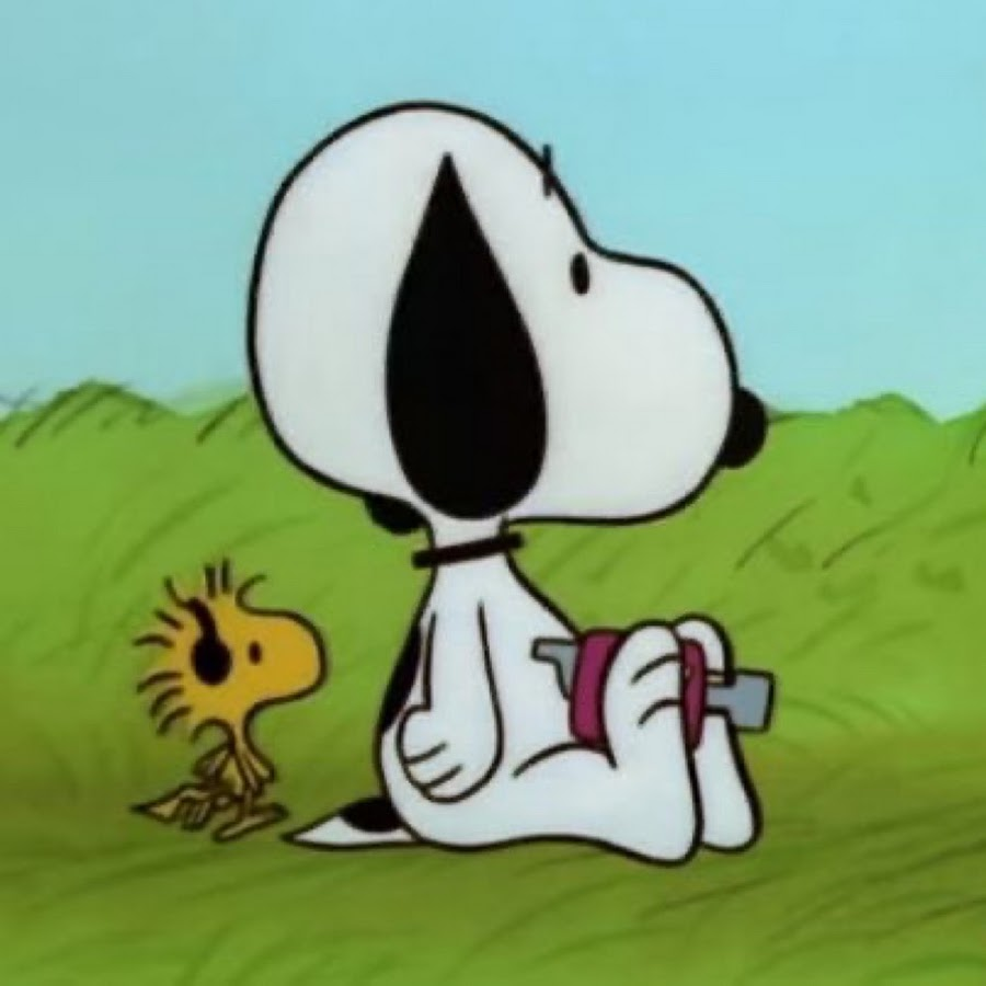 Snoopy PFP