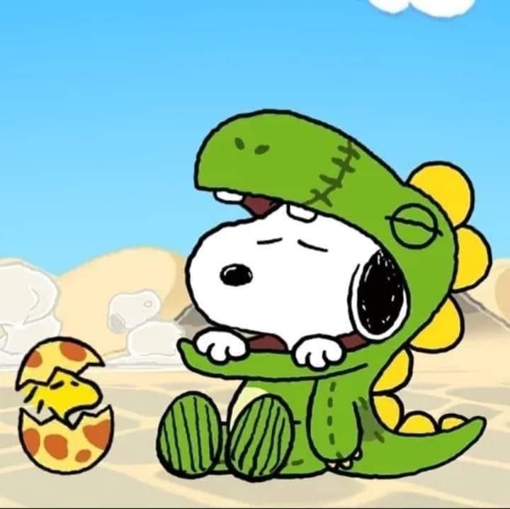 Snoopy Matching PFP
