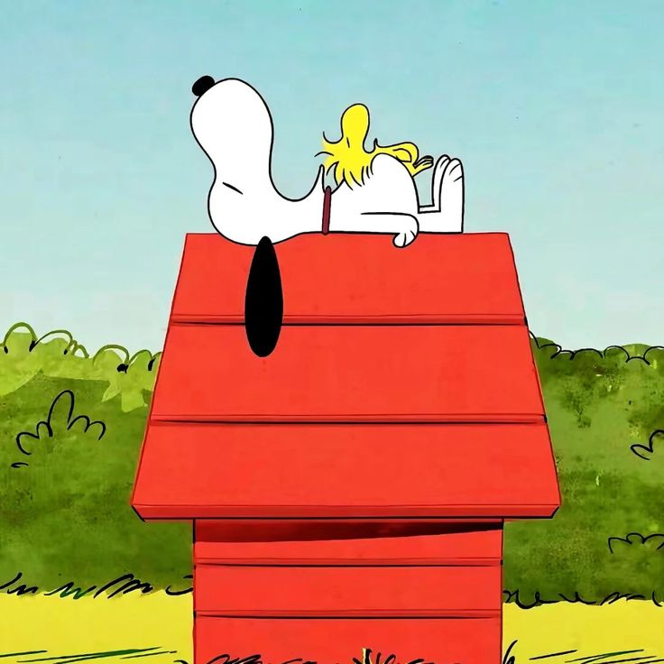 Snoopy Matching PFP