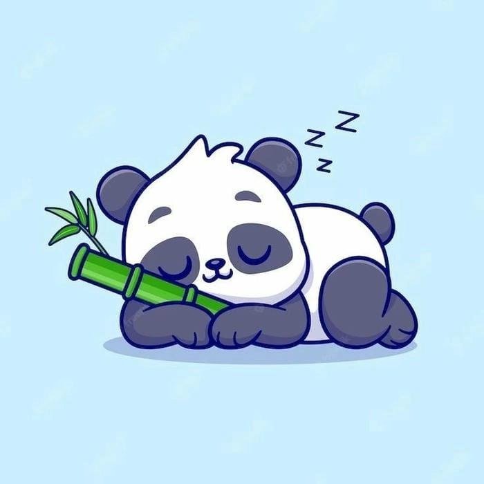 Chibi Panda PFP