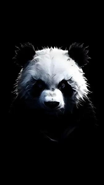 Black panda aesthetic profile picture