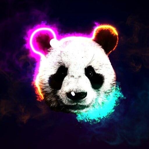 Black panda aesthetic profile picture