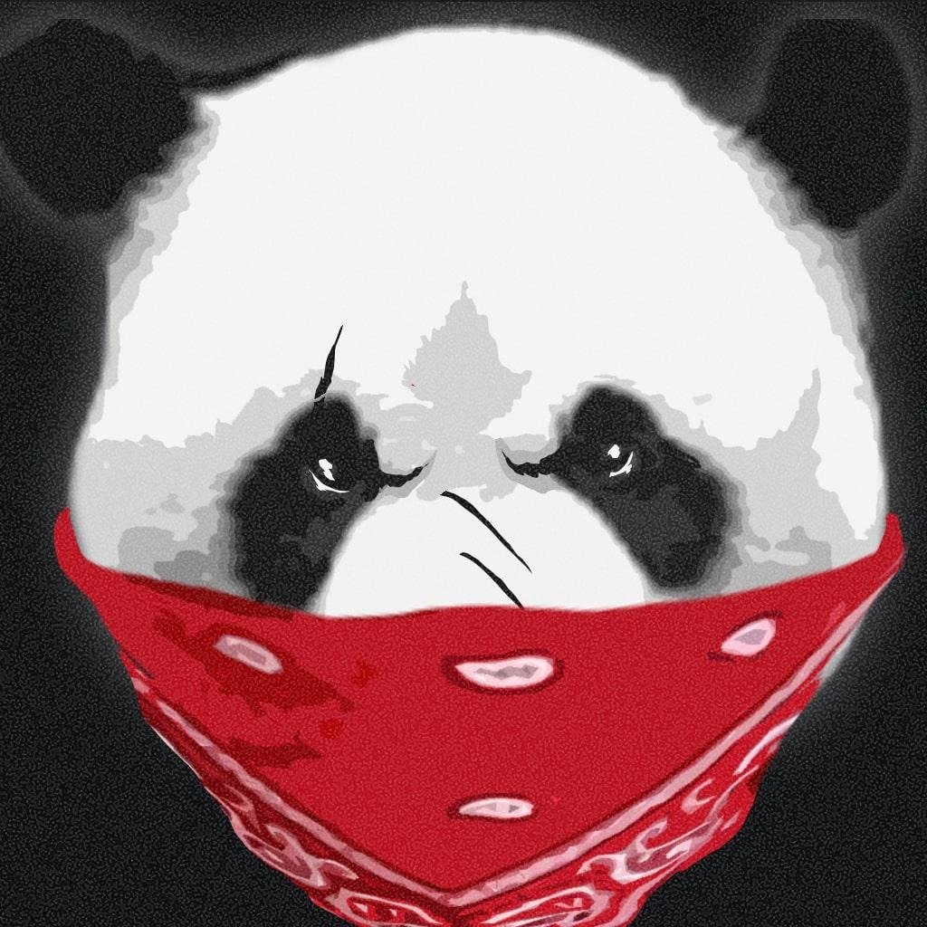 Black panda aesthetic profile picture