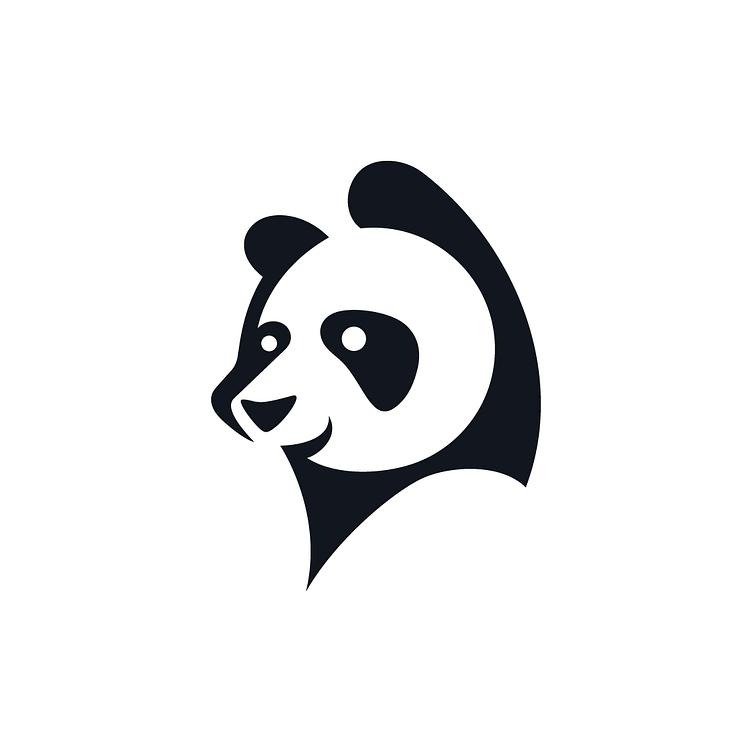 Panda Discord PFP
