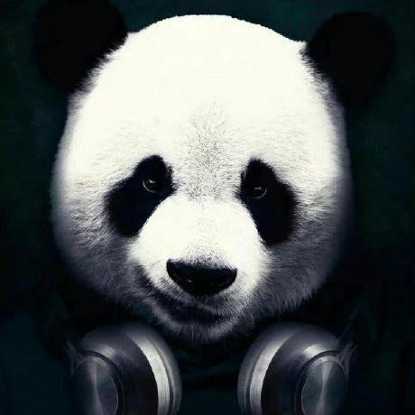 Panda TikTok avatar